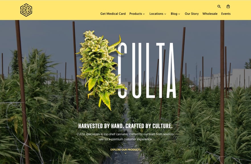 culta-homepage